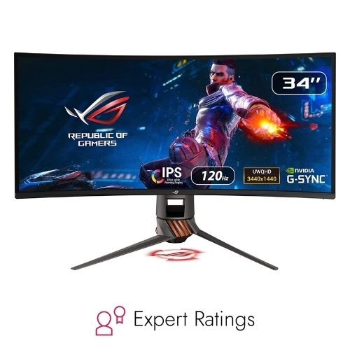Asus ROG Swift Monitor (Recommended Pick)