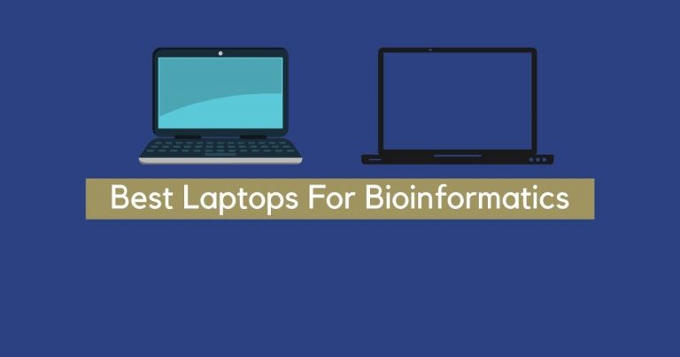 6 Best Laptops For Bioinformatics